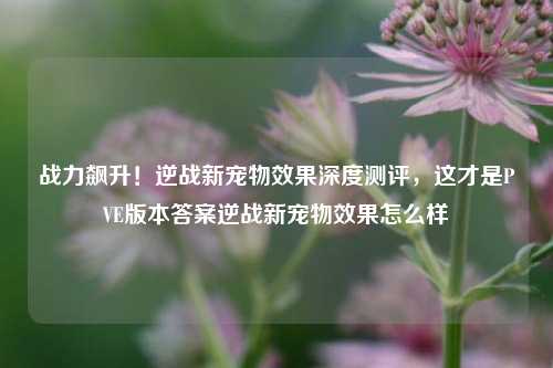 战力飙升!逆战新宠物效果深度测评,这才是PVE版本答案逆战新宠物效果怎么样