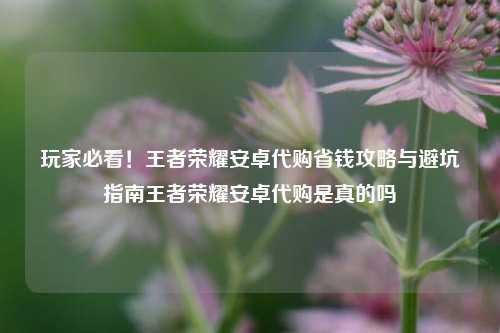 玩家必看！王者荣耀安卓代购省钱攻略与避坑指南王者荣耀安卓代购是真的吗
