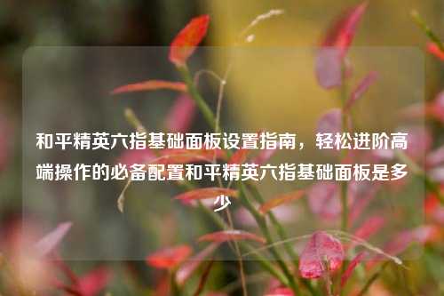 和平精英六指基础面板设置指南，轻松进阶高端操作的必备配置和平精英六指基础面板是多少