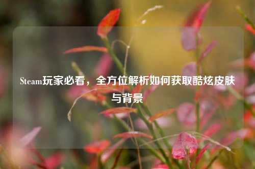 Steam玩家必看,全方位解析如何获取酷炫皮肤与背景