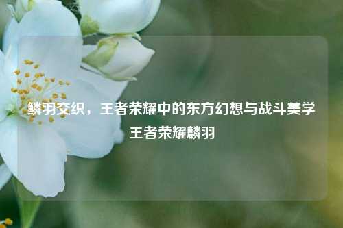 鳞羽交织，王者荣耀中的东方幻想与战斗美学王者荣耀麟羽