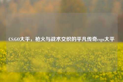 CS:GO大平，枪火与战术交织的平凡传奇csgo大平