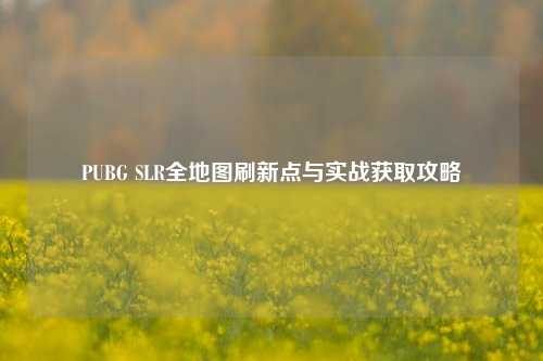 PUBG SLR全地图刷新点与实战获取攻略