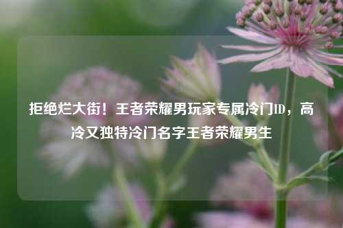拒绝烂大街!王者荣耀男玩家专属冷门ID,高冷又独特冷门名字王者荣耀男生