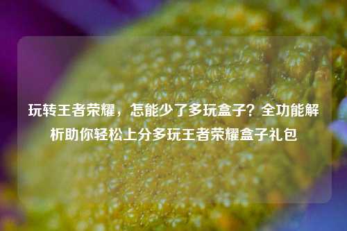 玩转王者荣耀，怎能少了多玩盒子？全功能解析助你轻松上分多玩王者荣耀盒子礼包