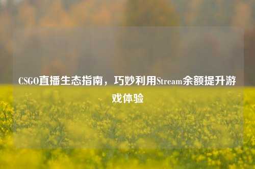 CSGO直播生态指南，巧妙利用Stream余额提升游戏体验