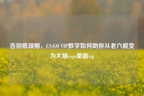 告别瓶颈期，CS:GO VIP教学如何助你从老六蜕变为大腿csgo里面vip