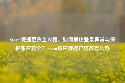 Steam凭据更改全攻略，如何解决登录异常与保护账户安全？steam账户凭据已更改怎么办