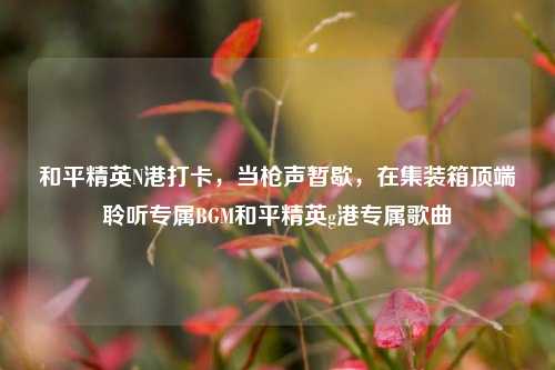 和平精英N港打卡，当枪声暂歇，在集装箱顶端聆听专属BGM和平精英g港专属歌曲