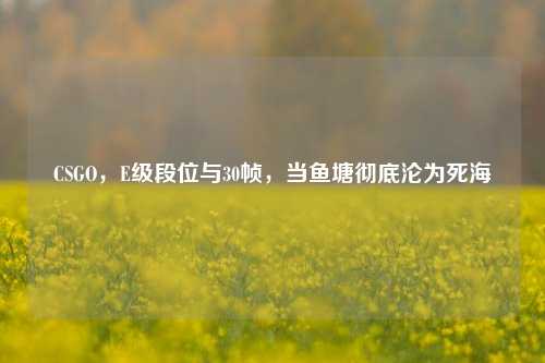 CSGO，E级段位与30帧，当鱼塘彻底沦为死海