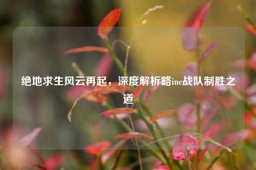 绝地求生风云再起，深度解析略inc战队制胜之道