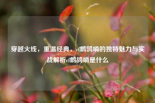 穿越火线，重温经典，cf鹧鹄哨的独特魅力与实战解析cf鹧鸪哨是什么