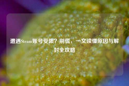 遭遇Steam账号受限？别慌，一文读懂原因与解封全攻略