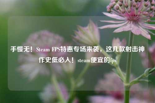 手慢无!Steam FPS特惠专场来袭,这几款射击神作史低必入!steam便宜的fps