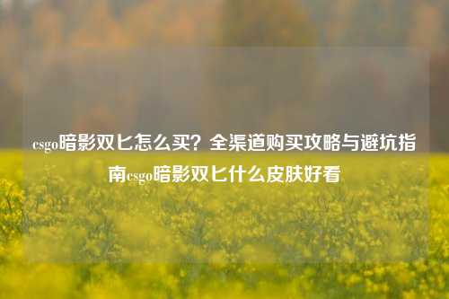 csgo暗影双匕怎么买?全渠道购买攻略与避坑指南csgo暗影双匕什么皮肤好看