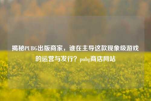 揭秘PUBG出版商家，谁在主导这款现象级游戏的运营与发行？pubg商店网站