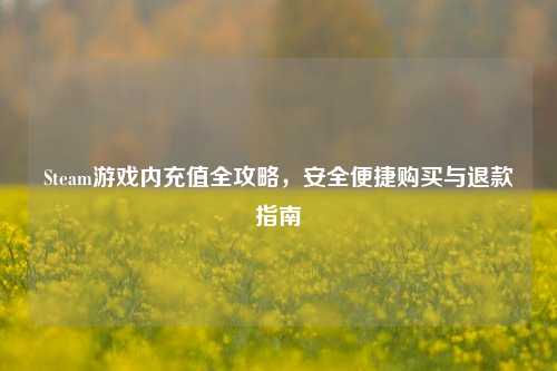 Steam游戏内充值全攻略,安全便捷购买与退款指南