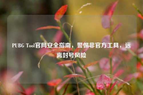 PUBG Tool官网安全指南,警惕非官方工具,远离封号风险