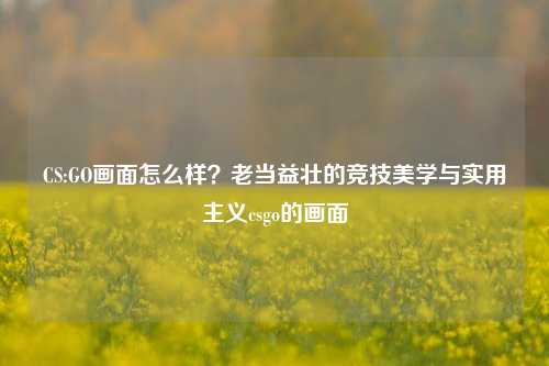 CS:GO画面怎么样?老当益壮的竞技美学与实用主义csgo的画面