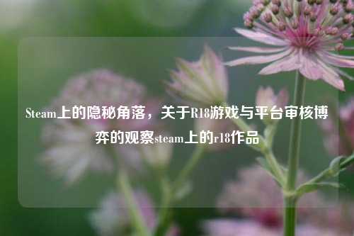 Steam上的隐秘角落，关于R18游戏与平台审核博弈的观察steam上的r18作品