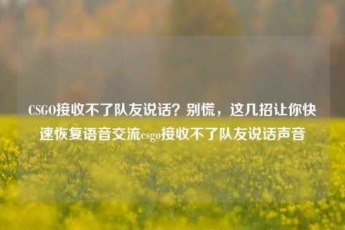 CSGO接收不了队友说话?别慌,这几招让你快速恢复语音交流csgo接收不了队友说话声音