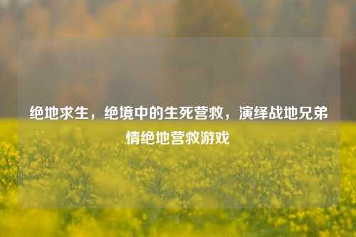绝地求生，绝境中的生死营救，演绎战地兄弟情绝地营救游戏