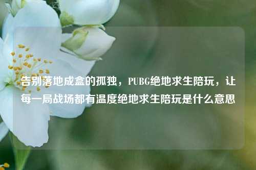 告别落地成盒的孤独，PUBG绝地求生陪玩，让每一局战场都有温度绝地求生陪玩是什么意思