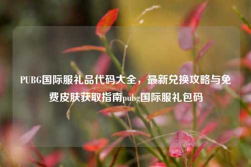 PUBG国际服礼品代码大全，最新兑换攻略与免费皮肤获取指南pubg国际服礼包码