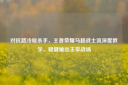 对抗路冷峻杀手，王者荣耀马超战士流深度教学，稳健输出主宰战场