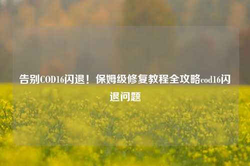 告别COD16闪退！保姆级修复教程全攻略cod16闪退问题