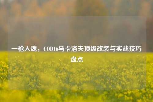 一枪入魂,COD16马卡洛夫顶级改装与实战技巧盘点