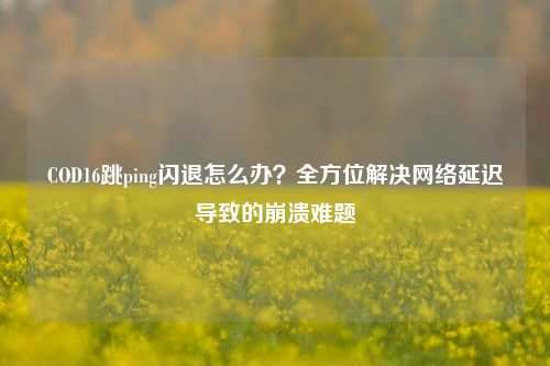 COD16跳ping闪退怎么办？全方位解决网络延迟导致的崩溃难题