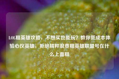 LOL租英雄攻略,不想买也能玩?教你低成本体验心仪英雄,拒绝精粹浪费租英雄联盟号在什么上面租