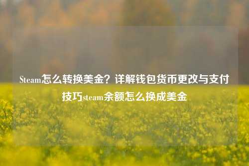 Steam怎么转换美金？详解钱包货币更改与支付技巧steam余额怎么换成美金