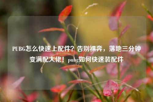 PUBG怎么快速上配件?告别裸奔,落地三分钟变满配大佬!pubg如何快速装配件