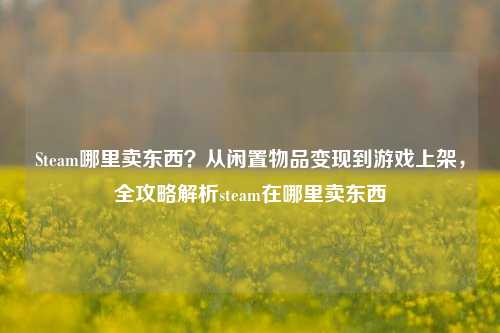 Steam哪里卖东西？从闲置物品变现到游戏上架，全攻略解析steam在哪里卖东西