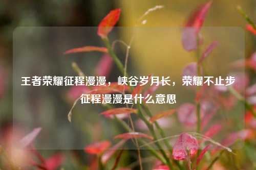 王者荣耀征程漫漫，峡谷岁月长，荣耀不止步征程漫漫是什么意思