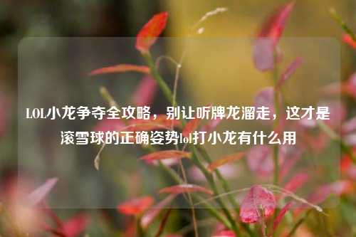 LOL小龙争夺全攻略，别让听牌龙溜走，这才是滚雪球的正确姿势lol打小龙有什么用