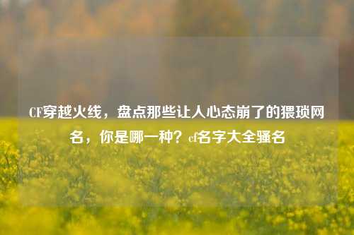 CF穿越火线，盘点那些让人心态崩了的猥琐网名，你是哪一种？cf名字大全骚名