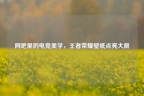 网吧里的电竞美学，王者荣耀壁纸点亮大屏