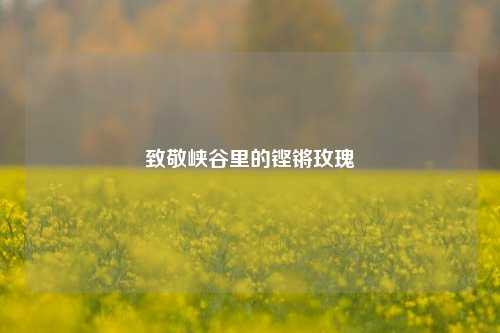 致敬峡谷里的铿锵玫瑰