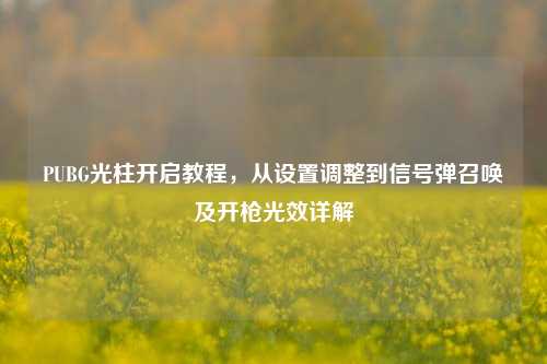 PUBG光柱开启教程,从设置调整到信号弹召唤及开枪光效详解