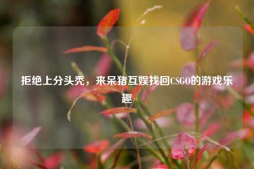 拒绝上分头秃，来呆猪互娱找回CSGO的游戏乐趣