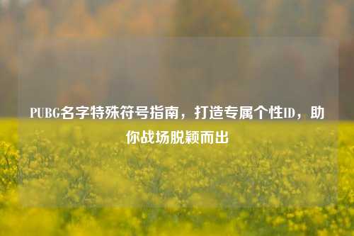 PUBG名字特殊符号指南,打造专属个性ID,助你战场脱颖而出