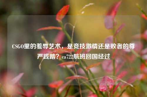 CSGO里的羞辱艺术,是竞技激情还是败者的尊严践踏?ca722航班回国经过