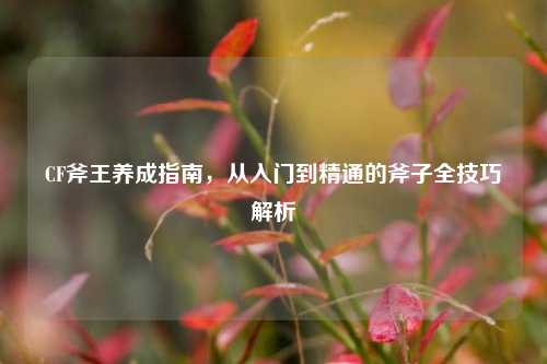 CF斧王养成指南,从入门到精通的斧子全技巧解析