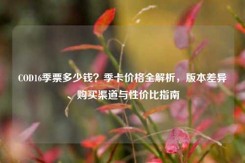COD16季票多少钱？季卡价格全解析，版本差异、购买渠道与性价比指南