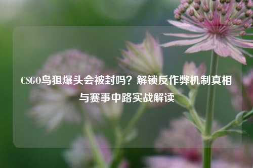 CSGO鸟狙爆头会被封吗?解锁反作弊机制真相与赛事中路实战解读