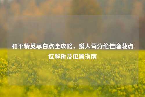 和平精英黑白点全攻略,蹲人苟分绝佳隐蔽点位解析及位置指南