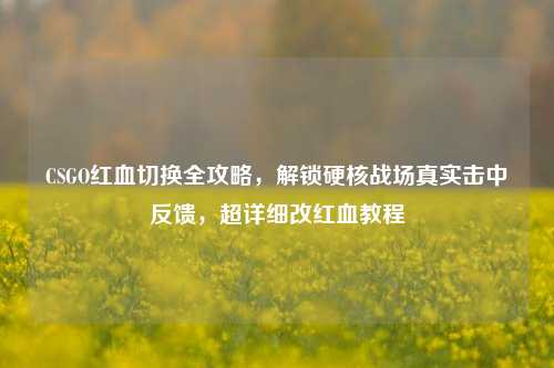 CSGO红血切换全攻略,解锁硬核战场真实击中反馈,超详细改红血教程